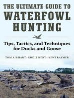 The Ultimate Guide to Waterfowl Hunting