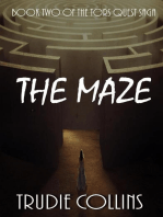 The Maze: Tor's Quest, #2