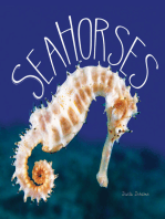 Sea Horses