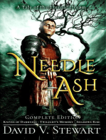 Needle Ash: Eternal Dream, #2