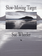 Slow Moving Target