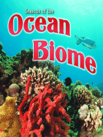 Seasons Of The Ocean Biome