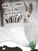 What Do Critters Do In The Winter?