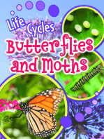 Butterflies and Moths