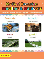 My First Romanian Weather & Outdoors Picture Book with English Translations: Teach & Learn Basic Romanian words for Children, #9