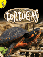 Tortugas: Turtles