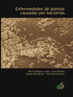 Enfermedades de plantas causadas por bacterias