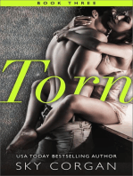 Torn - Book Three: Torn Series, #3