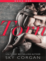 Torn: Torn Series, #1