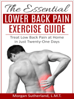 The Essential Lower Back Pain Exercise Guide