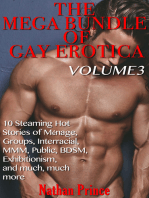 The Mega Bundle of Gay Erotica
