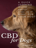 CBD for Dogs