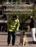 Hundeführerschein und Sachkundeprüfung: Vorbereitung für Hundehalter