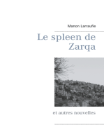 Le spleen de Zarqa: et autres nouvelles