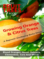 The Fruit Trees Book: Growing Orange & Citrus Trees - Blood Oranges, Navel, Valencia, Clementine, Cara And More: DIY Planting, Irrigation, Fertilizing, Pest Prevention, Leaf Sampling & Soil Analysis