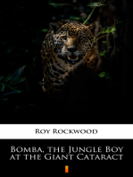 Bomba, the Jungle Boy at the Giant Cataract