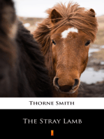 The Stray Lamb