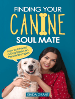 Finding Your Canine Soul Mate