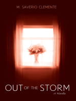 Out of the Storm: A Novella
