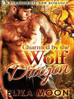 Charmed by the Wolf Dragon