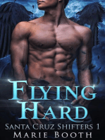Flying Hard