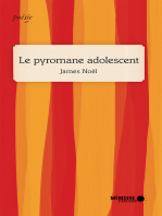 Le pyromane adolescent