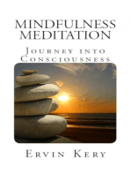 Mindfulness Meditation: Journey Into Consciousness