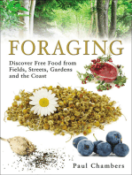 Foraging: Discover Free Food from Fields, Streets, Gardens and the Coast