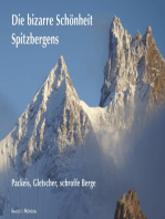Spitzbergens bizarre Schönheit: Packeis, Gletscher, schroffe Berge