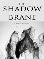 The Shadow Brane
