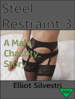 Steel Restraint 3