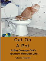 Cat On A Pot
