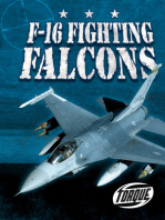 F-16 Fighting Falcons