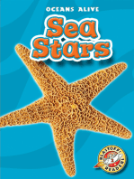 Sea Stars