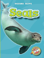 Seals