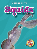 Squids