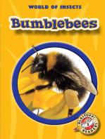 Bumblebees