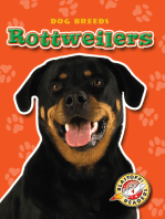 Rottweilers