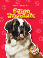 Saint Bernards