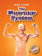 Muscular System, The