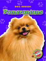 Pomeranians