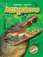 Alligators