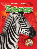 Zebras