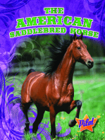 American Saddlebred Horse, The