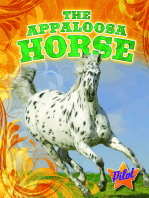 Appaloosa Horse, The