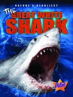Great White Shark, The