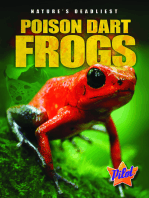 Poison Dart Frogs