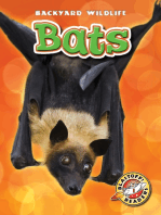 Bats