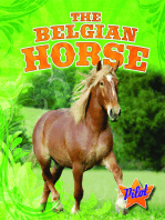 Belgian Horse, The