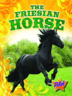 Friesian Horse, The